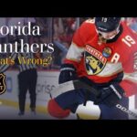 WHAT IS WRONG WITH THE FLORIDA PANTHERS???