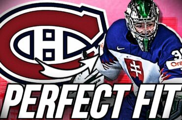 ADAM GAJAN THE PERFECT FIT FOR THE HABS - MONTREAL CANADIENS NEWS TODAY