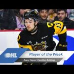 Bulldogs' Avery Hayes Named OHL Player of the Week