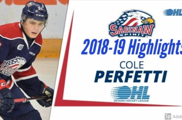 Cole Perfetti | 2018-19 OHL Highlights | HD