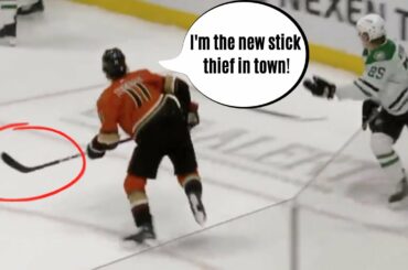 Anaheim Ducks Stealing Sticks Compilation