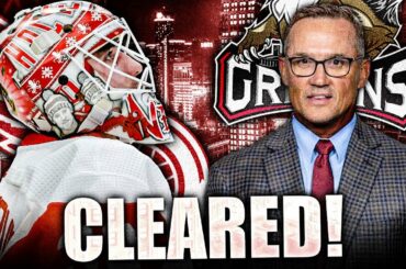 ALEX NEDELJKOVIC CLEARS… DID CAROLINA HAVE A POINT? (Detroit Red Wings, Steve Yzerman News 2023) NHL