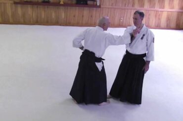 Aikido - William Gleason Sensei - Guest Instructor 2014 ASU DC Summer Camp