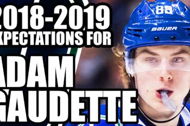 2018-2019 Expectations For: Adam Gaudette (Vancouver Canucks Next Season)