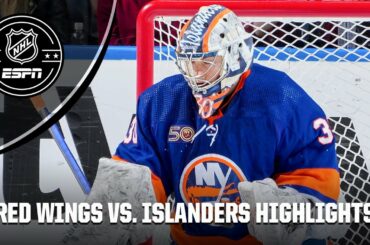 Detroit Red Wings vs. New York Islanders | Full Game Highlights