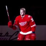 Anthony Mantha tribute