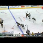 Ryan Suter stick plays vs. Vegas in 2021