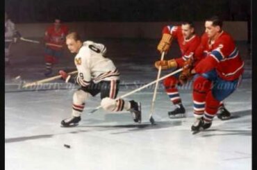 Lloyd Pettit Chicago Blackhawks