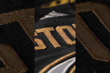 Vegas Golden Knights Reverse Retro 2.0