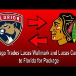 Florida Panthers & Chicago Blackhawks Trade Packages Including Wallmark Carlsson and Borgstrom