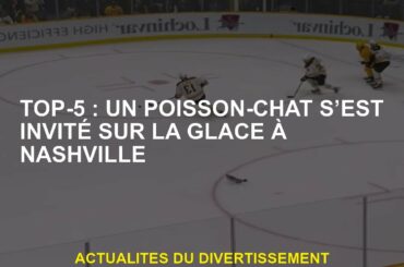 Top-5: Un poisson-chat s'est invité à la glace à Nashville