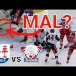 Timrå körde över Linköping | SHL Highlights | kommentarer analyser #hockey #shl nhl