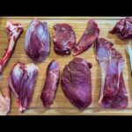 How to Butcher a Deer Hind Quarter * EVERY CUT EXPLAINED *