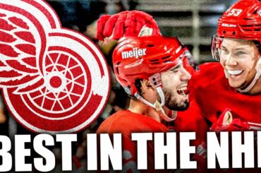 Moritz Seider & Jake Walman Are The BEST PAIRING IN THE NHL… WHAT HAPPENED? Detroit Red Wings News