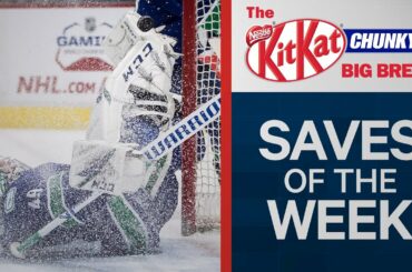 Holtby Miraculous Pad Denial & Driedger Somehow Keeps It Out | NHL Saves Of The Week