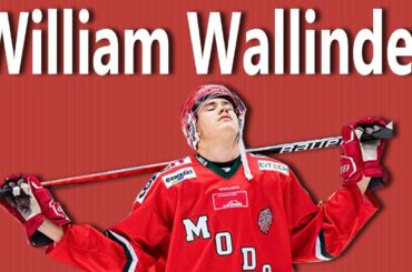 William Wallinder: A BIG Scoring Defensemen