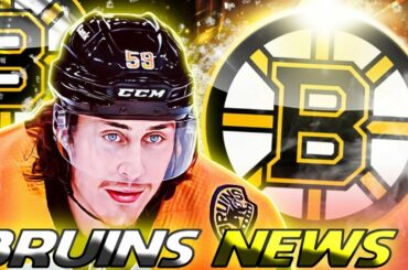 🟡(BRUINS TYLER BERTUZZI) BOSTON BRUINS NEWS TODAY LATEST UPDATE (NHL)