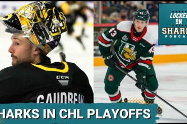 San Jose Sharks In The CHL Playoffs