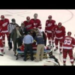 Patrick Eaves taken to hospital after a hit in the head by Roman Josi