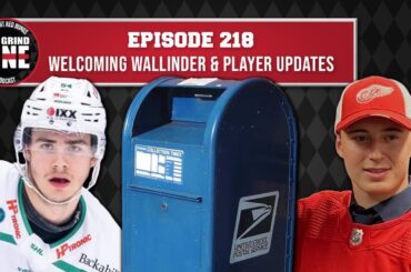 Episode 218 - The Detroit Red Wings Welcome Wallinder and Mazur Plus Player Updates