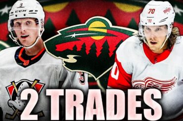 MINNESOTA TRADING FOR ALL THE SWEDES: RED WINGS & ANAHEIM DUCKS TRADES (Oskar Sundqvist, Klingberg)