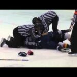 Andrew Picco vs Nicolas Leblond Mar 13, 2015