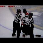 NHL hockey fight - Givani Smith(Panthers) vs. Mark Kastelic(Senators)