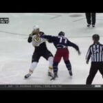 Zdeno Chara fights Josh Anderson 10/30/17