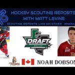 Best QMJHL Defender in Years? | Noah Dobson 2018 NHL Draft Scouting Report