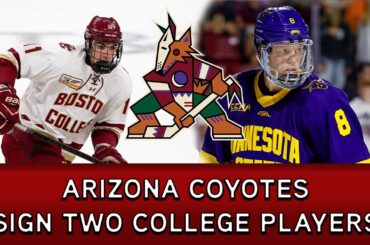 Arizona Coyotes Sign Two College Players