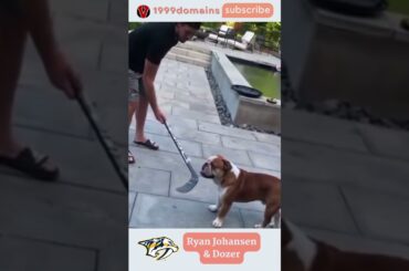 Ryan Johansen plays with his dog Dozer #nhl #shorts