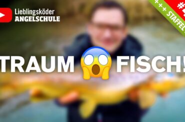 Forellenköder-Test am Bach 🎣🔥🐟