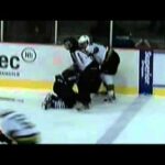 Nicolas Aube-Kubel vs Simon Tremblay Nov 14, 2013