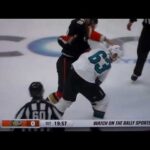 NHL hockey fight - Sam Carrick(Ducks) vs. Jeffrey Viel(Sharks)