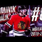 CHICAGO BLACKHAWKS #8 DOMINIK KUBALIK HIGHLIGHTS 19-20 [HD]