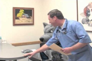 Walt Visits the Vet!