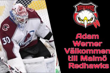 WELCOME TO MALMÖ Adam Werner Highlights