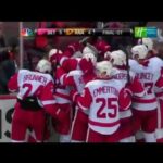 Gustav Nyquist OT Goal 2013 Stanley Cup Playoffs WCQF Game 2