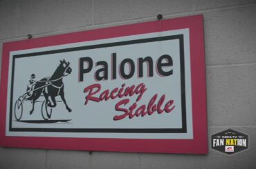 Dave Palone: The Sidney Crosby of harness racing