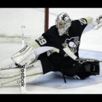 Marc Andre Fleury Highlights