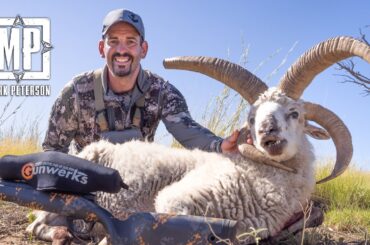 Hunting 4 Horn Ram in Argentina | Mark V. Peterson Hunting