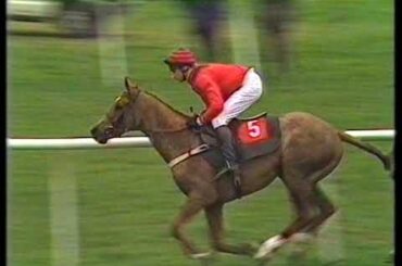 1990 R.O.A. Rendlesham Hurdle