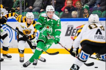 The Most Underrated Player In The 2019 NHL Mock Draft ( Nils Hoglander)