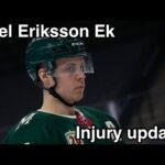 Joel Eriksson Ek Injury update *Crash The Net*