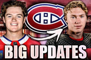 HUGE HABS NEWS: COLE CAUFIELD UPDATE ON SHOULDER + OWEN BECK CALLED UP—Montreal Canadiens Prospects