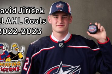 David Jiricek All AHL Goals (Columbus Blue Jackets Prospect)