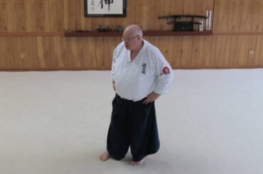 Aiki and Connection - What is training aiki?