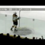 Sean Kuraly Highlights 2016- 17