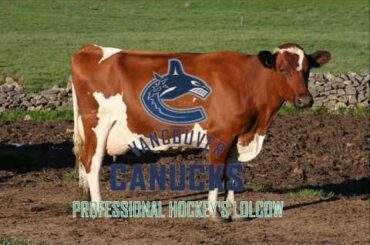 The Vancouver Canucks: Professional Hockey's Lolcow