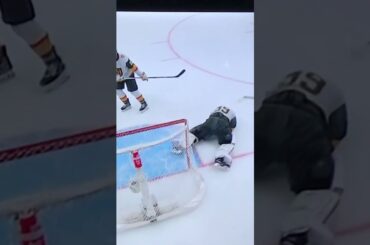 Vegas Golden Knights just lost their starting goalie from injury #39 Laurent Brossoit